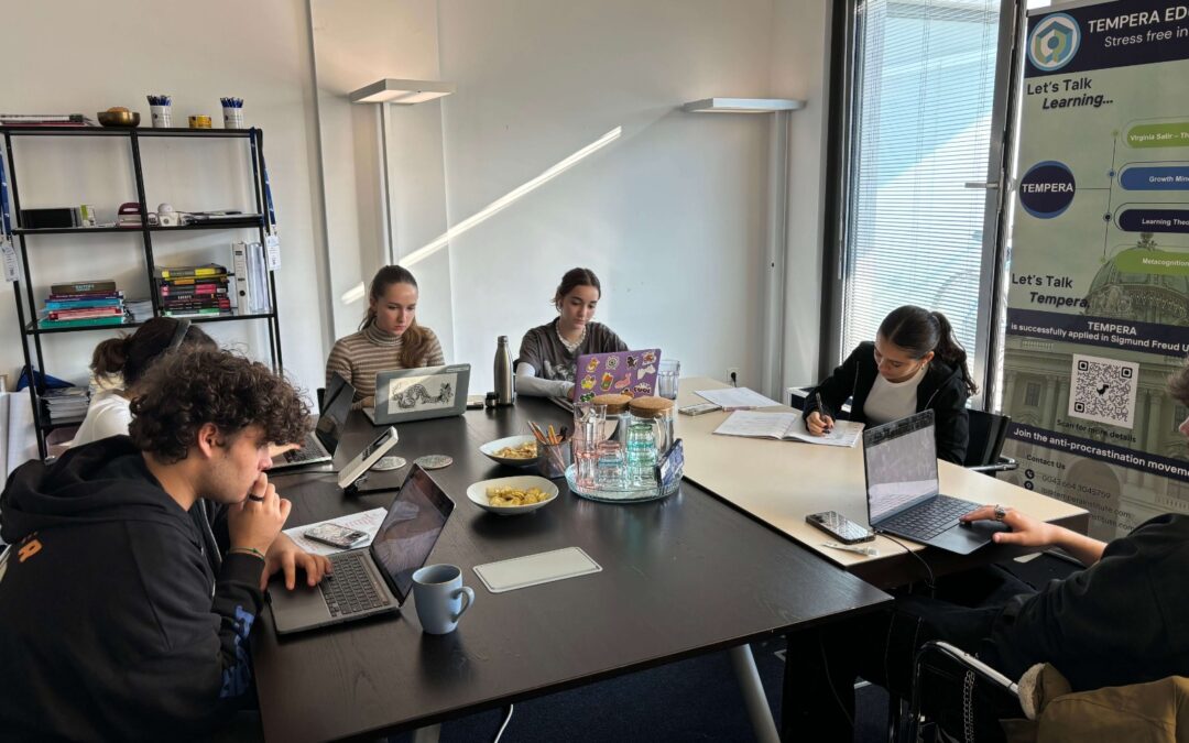 Craft a Winning Strategy for the IB EE in Vienna with Professional Guidance