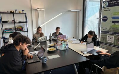 Craft a Winning Strategy for the IB EE in Vienna with Professional Guidance